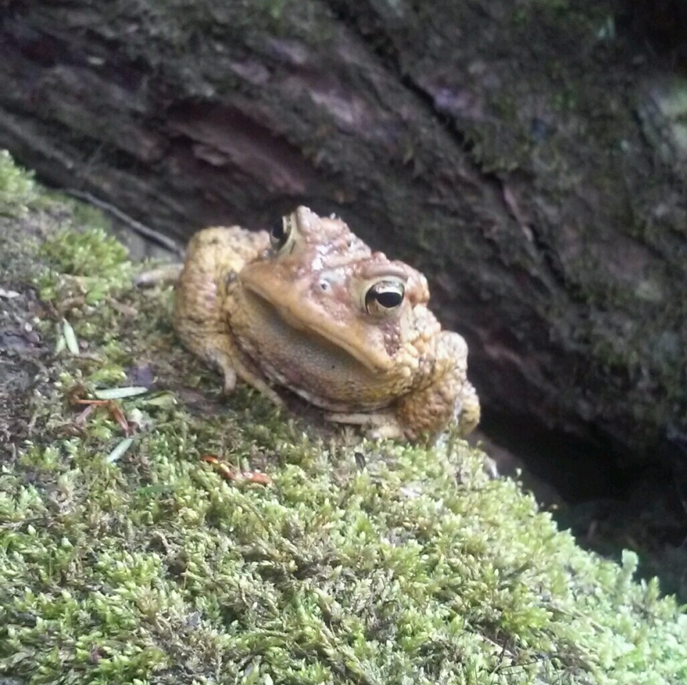 Meet your Posher, Ben